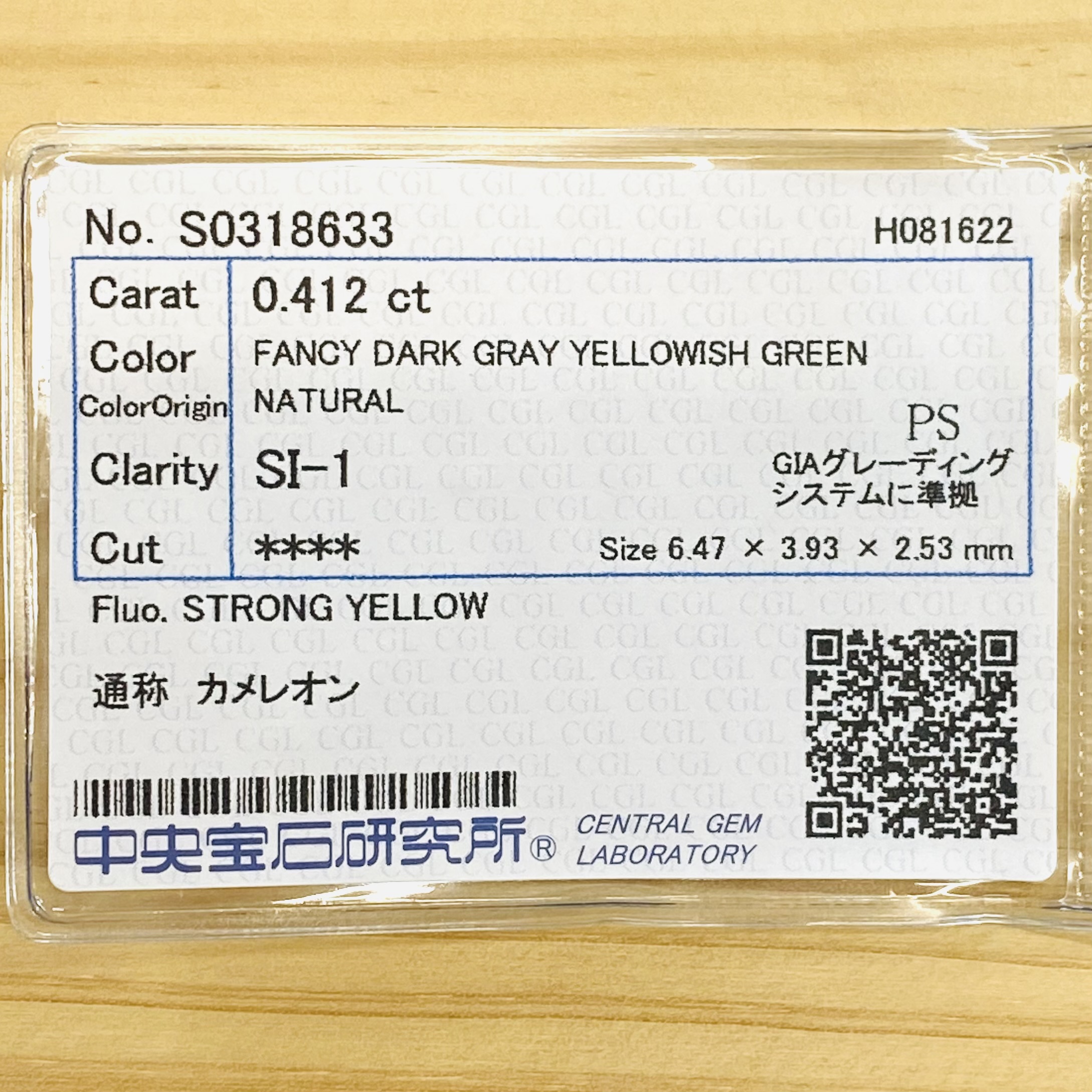 お求めやすく価格改定 カメレオン FANCY DARK GRAY YELLOWISH GREEN